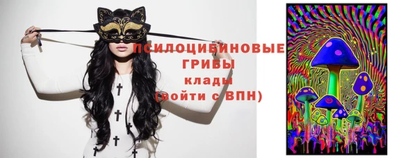 каннабис Аркадак