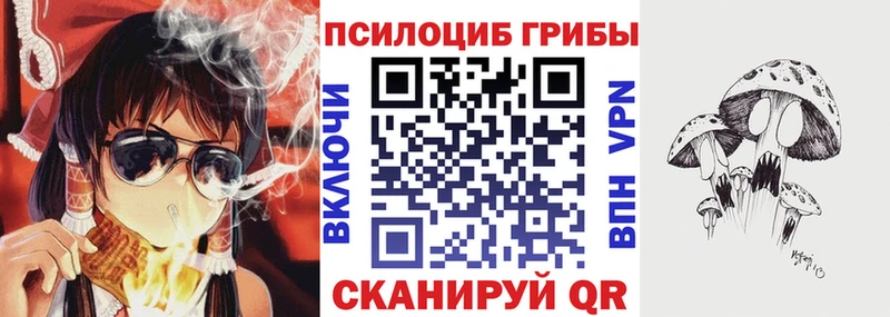 Псилоцибиновые грибы GOLDEN TEACHER  Сосновый Бор 